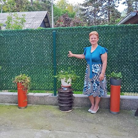 Milica Apartmani Vrdnik Exterior foto
