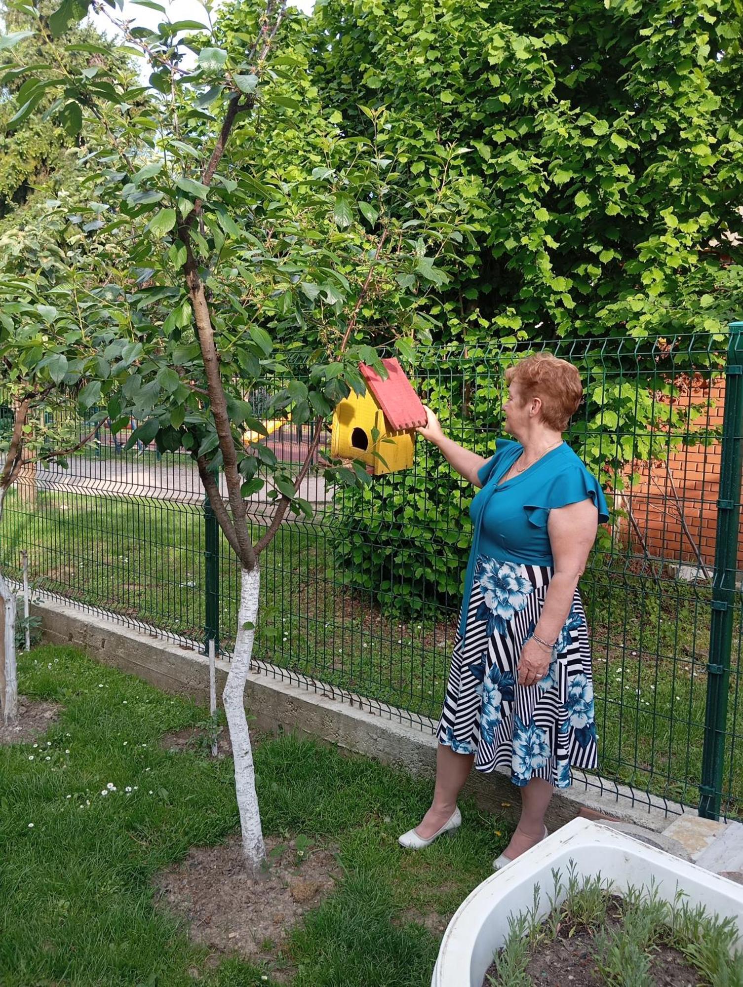Milica Apartmani Vrdnik Exterior foto