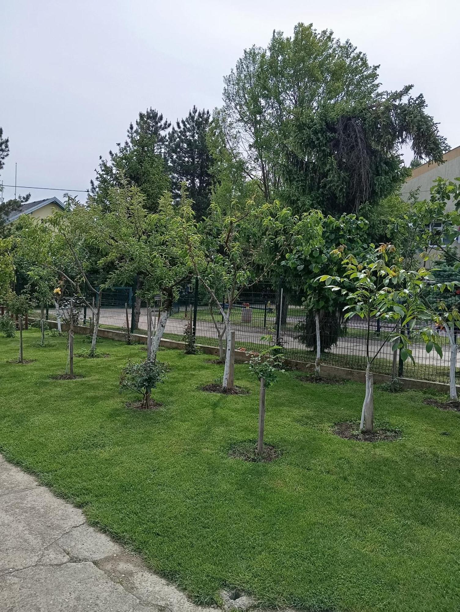 Milica Apartmani Vrdnik Exterior foto